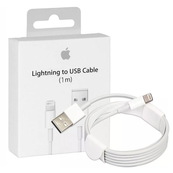 Apple charger cable (lighting to USB) (Same like Image)